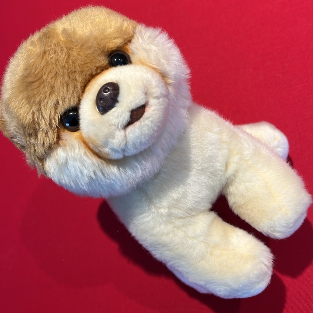 Gund Boo The Worlds Cutest Plush Dog 9" toy stuffed animal puppy